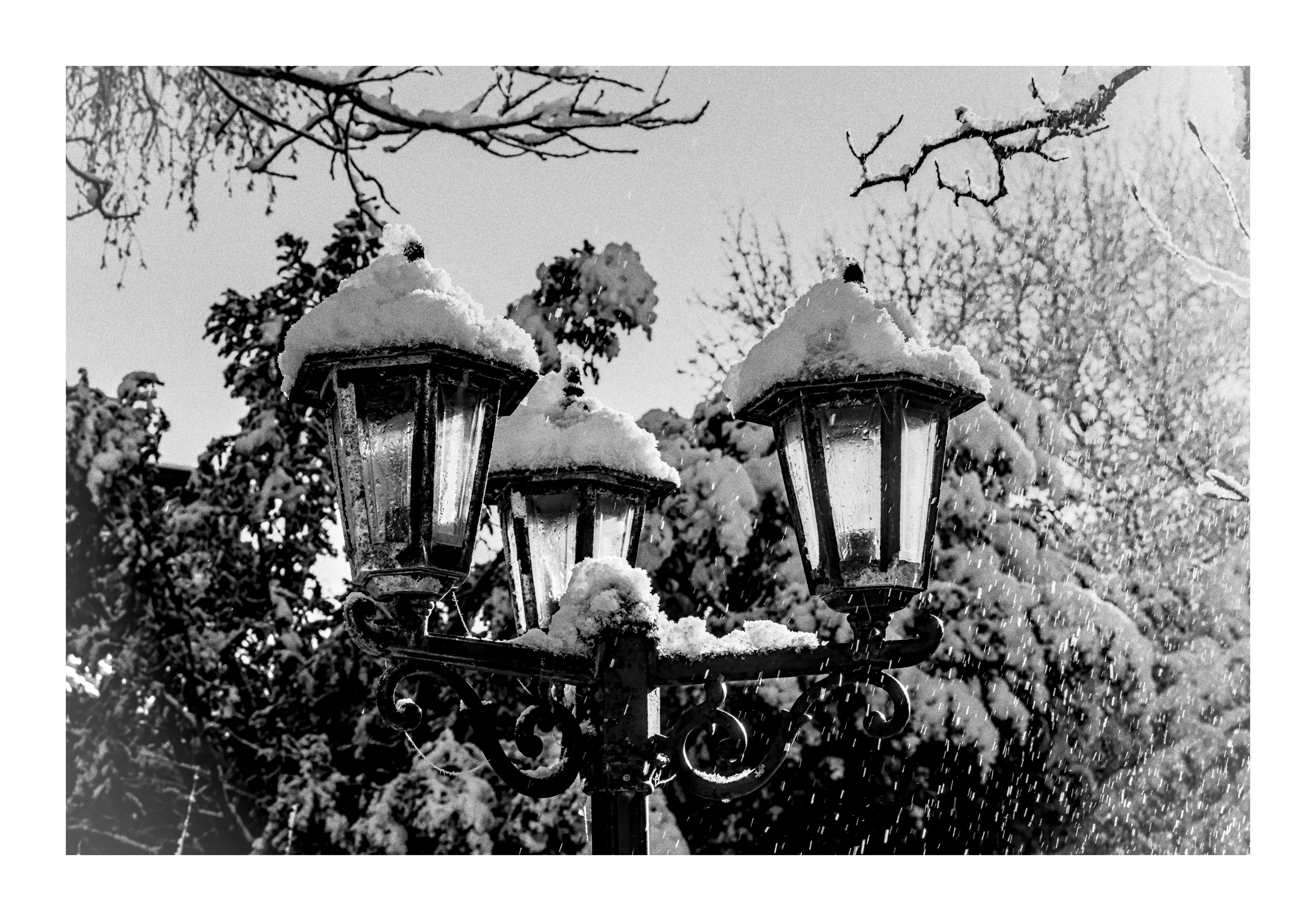 Les Veilleurs de Nuit
